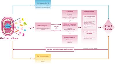 Genetics causal analysis of oral microbiome on type 2 diabetes in East Asian populations: a bidirectional two-sample Mendelian randomized study